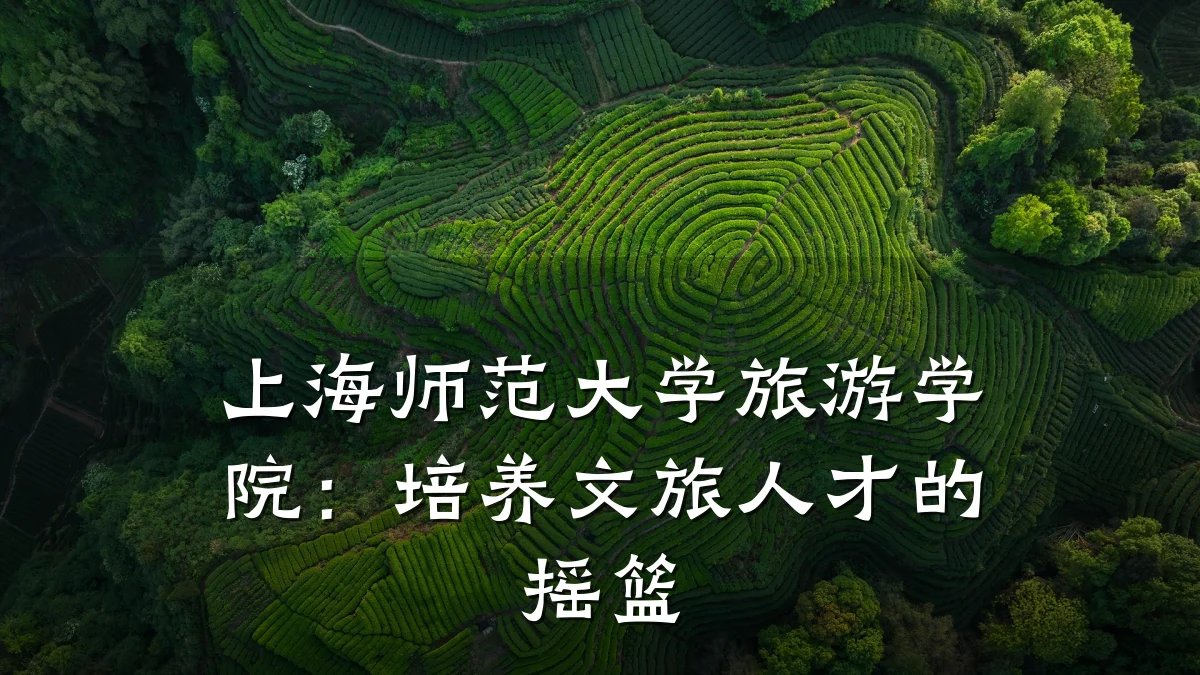 上海师范大学旅游学院:培养文旅人才的摇篮