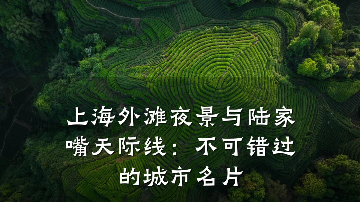 上海外滩夜景与陆家嘴天际线：不可错过的城市名片