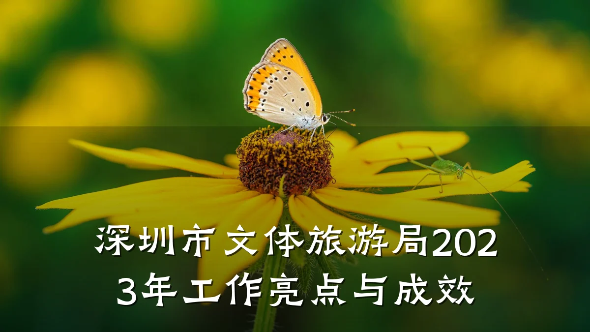 深圳市文体旅游局2023年工作亮点与成效