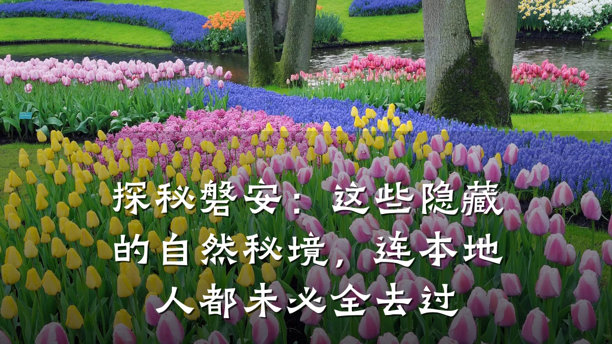 探秘磐安:这些隐藏的自然秘境,连本地人都未必全去过