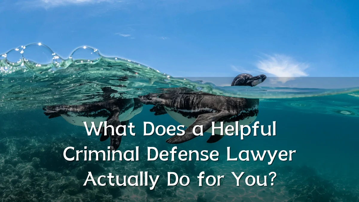 What Does a Helpful Criminal Defense Lawyer Actually Do for You?