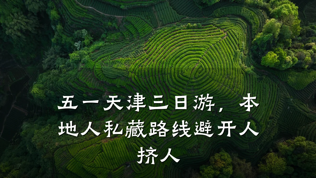 五一天津三日游,本地人私藏路线避开人挤人
