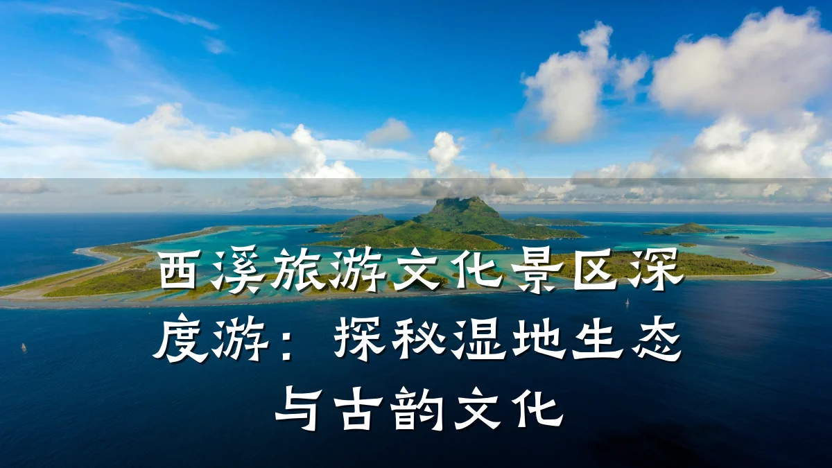西溪旅游文化景区深度游:探秘湿地生态与古韵文化