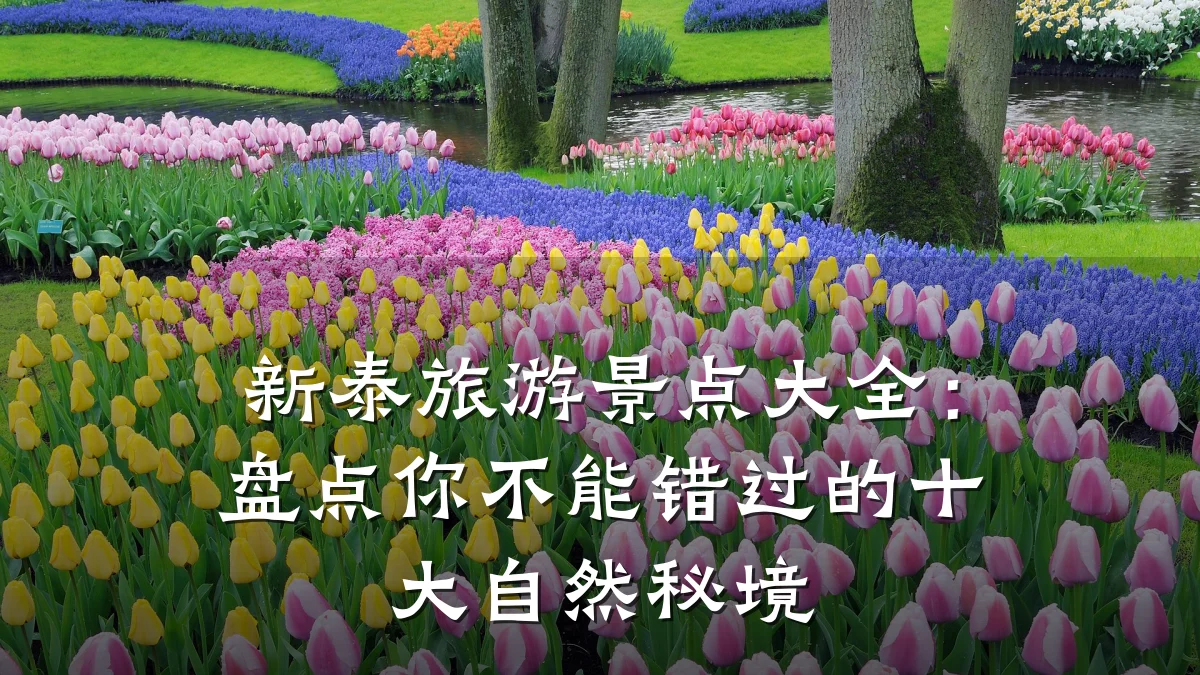 新泰旅游景点大全：盘点你不能错过的十大自然秘境