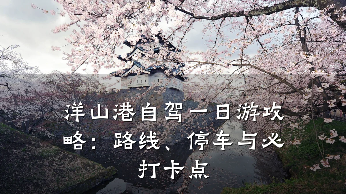 洋山港自驾一日游攻略:路线、停车与必打卡点