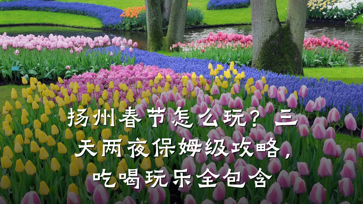 扬州春节怎么玩?三天两夜保姆级攻略,吃喝玩乐全包含