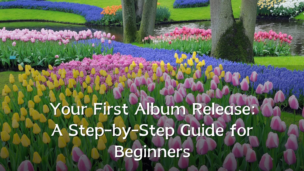 Your First Album Release: A Step-by-Step Guide for Beginners