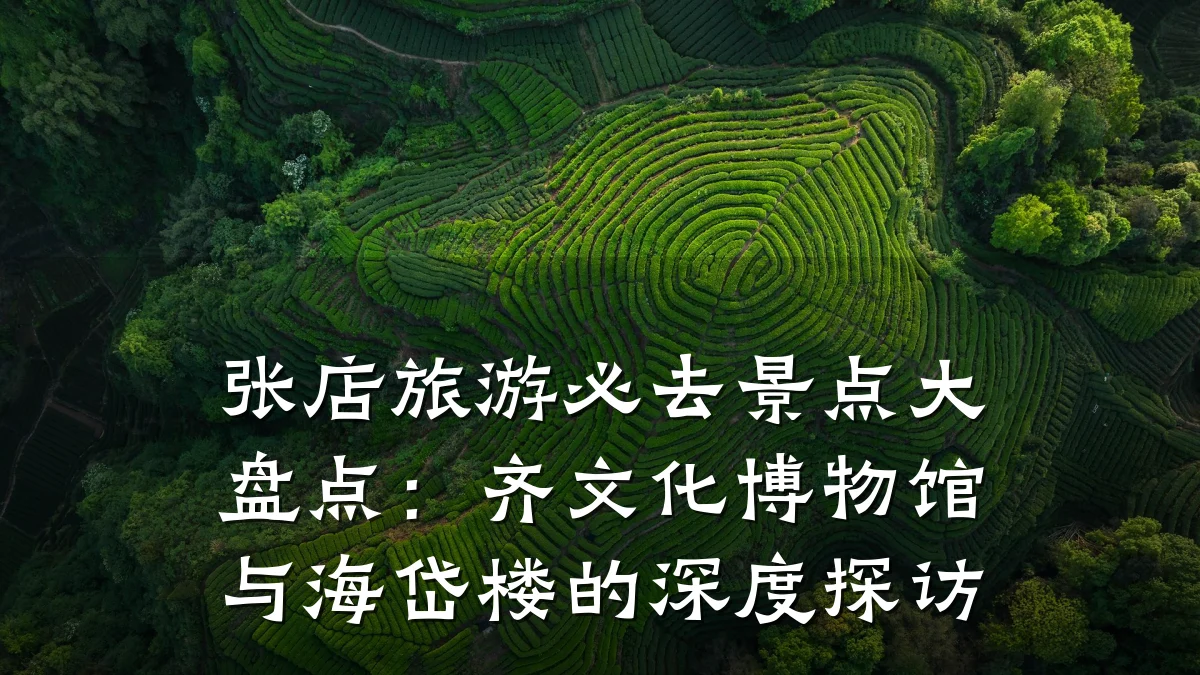 张店旅游必去景点大盘点:齐文化博物馆与海岱楼的深度探访