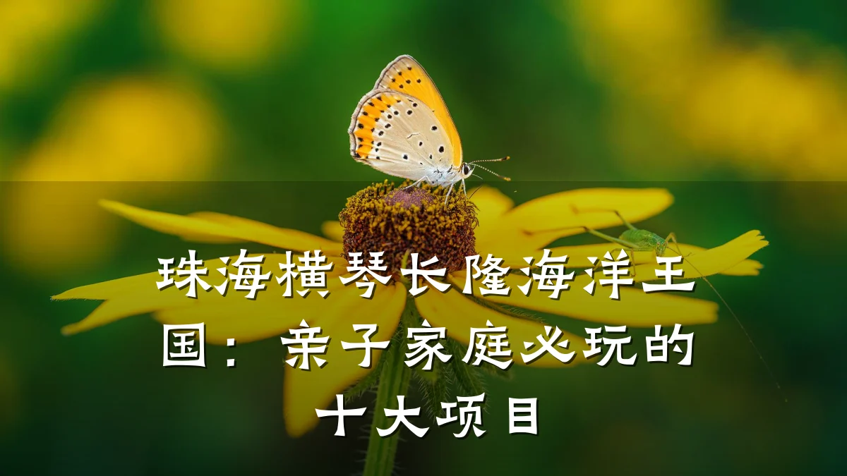 珠海横琴长隆海洋王国:亲子家庭必玩的十大项目