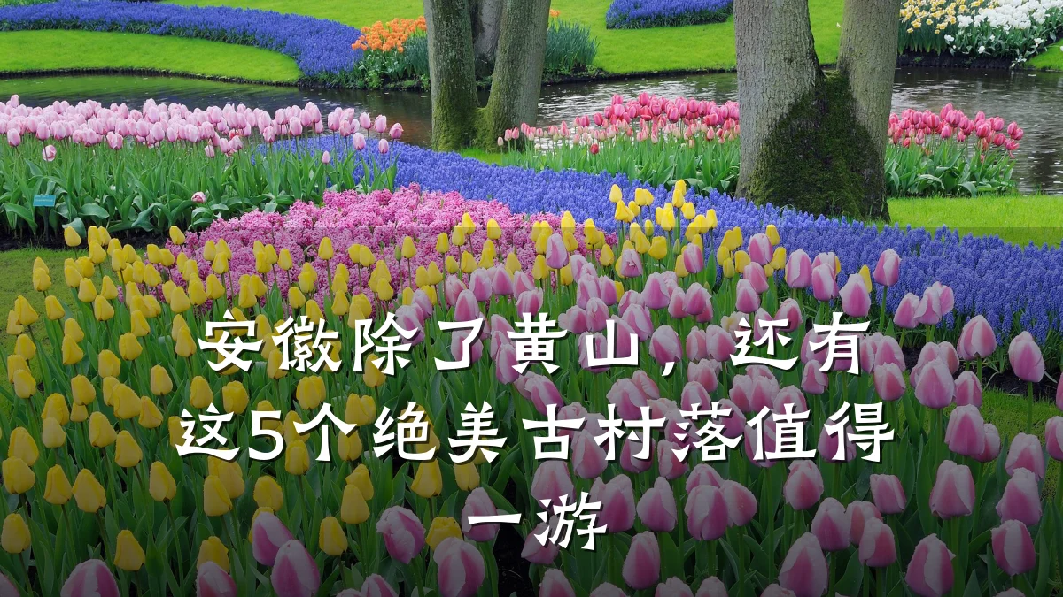 安徽除了黄山,还有这5个绝美古村落值得一游