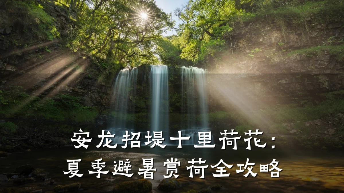 安龙招堤十里荷花:夏季避暑赏荷全攻略