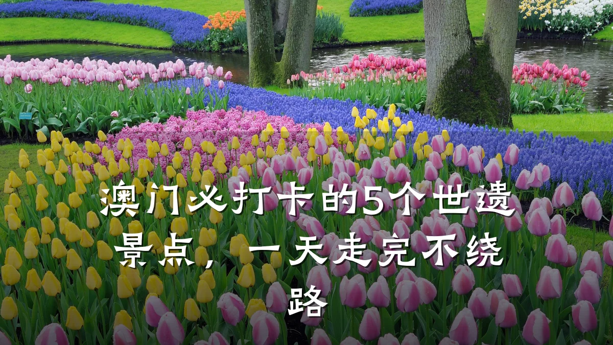 澳门必打卡的5个世遗景点,一天走完不绕路