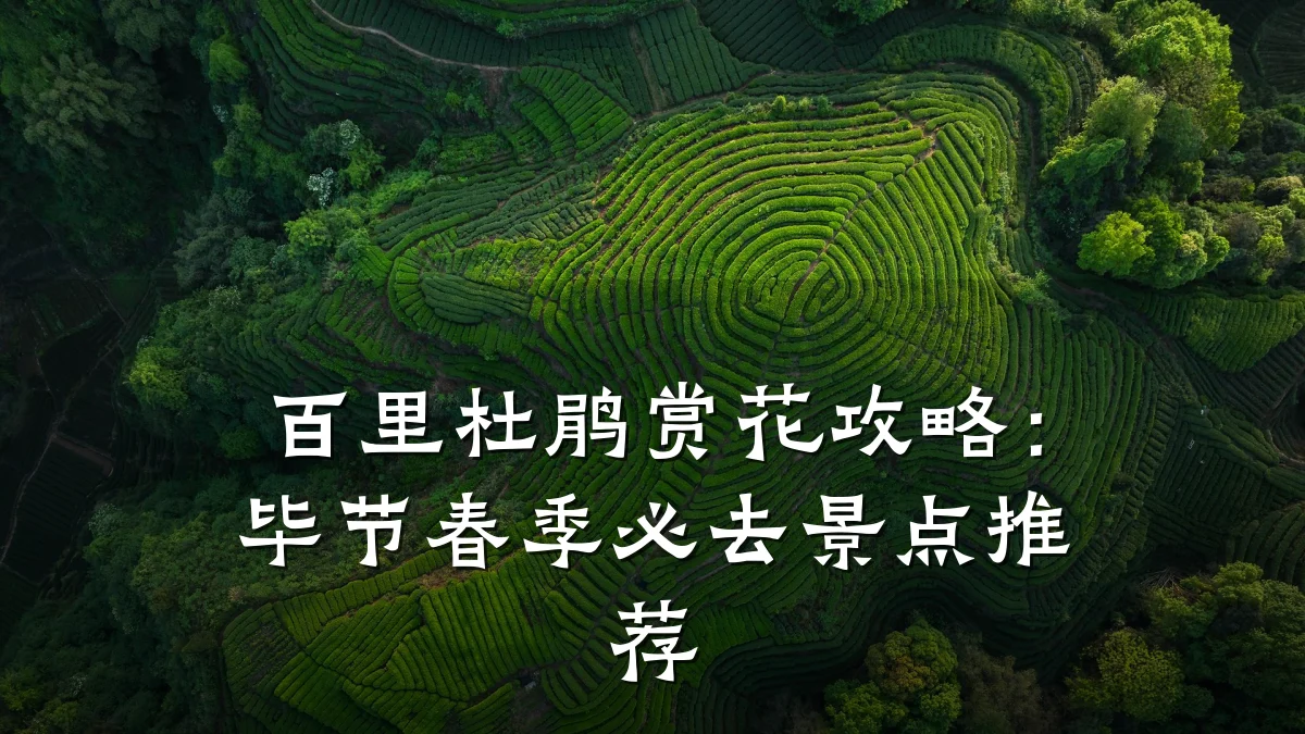 百里杜鹃赏花攻略:毕节春季必去景点推荐