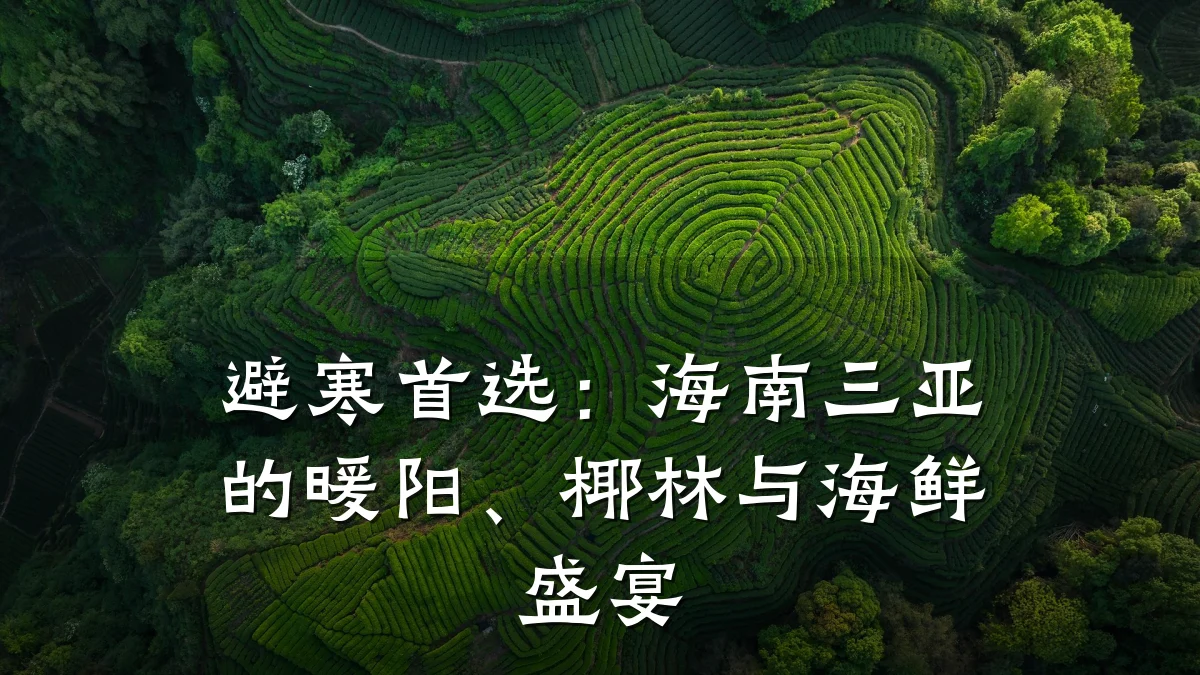 避寒首选:海南三亚的暖阳、椰林与海鲜盛宴