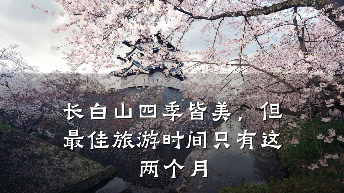 长白山四季皆美,但最佳旅游时间只有这两个月