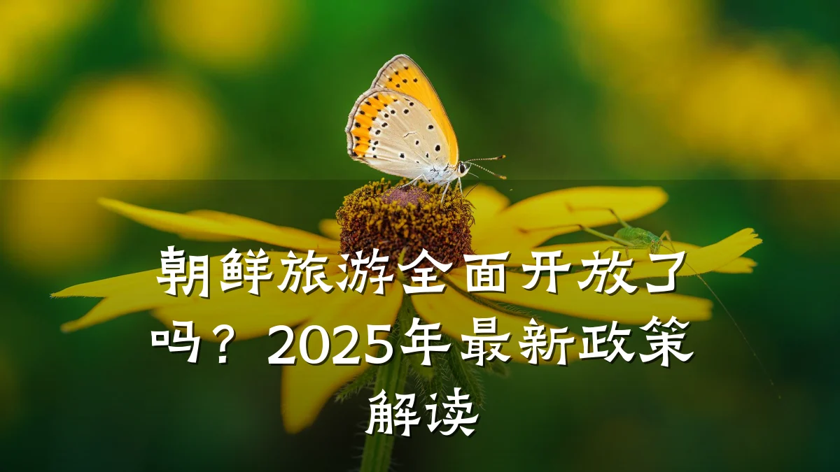 朝鲜旅游全面开放了吗?2025年最新政策解读