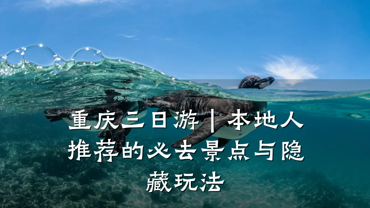 重庆三日游|本地人推荐的必去景点与隐藏玩法