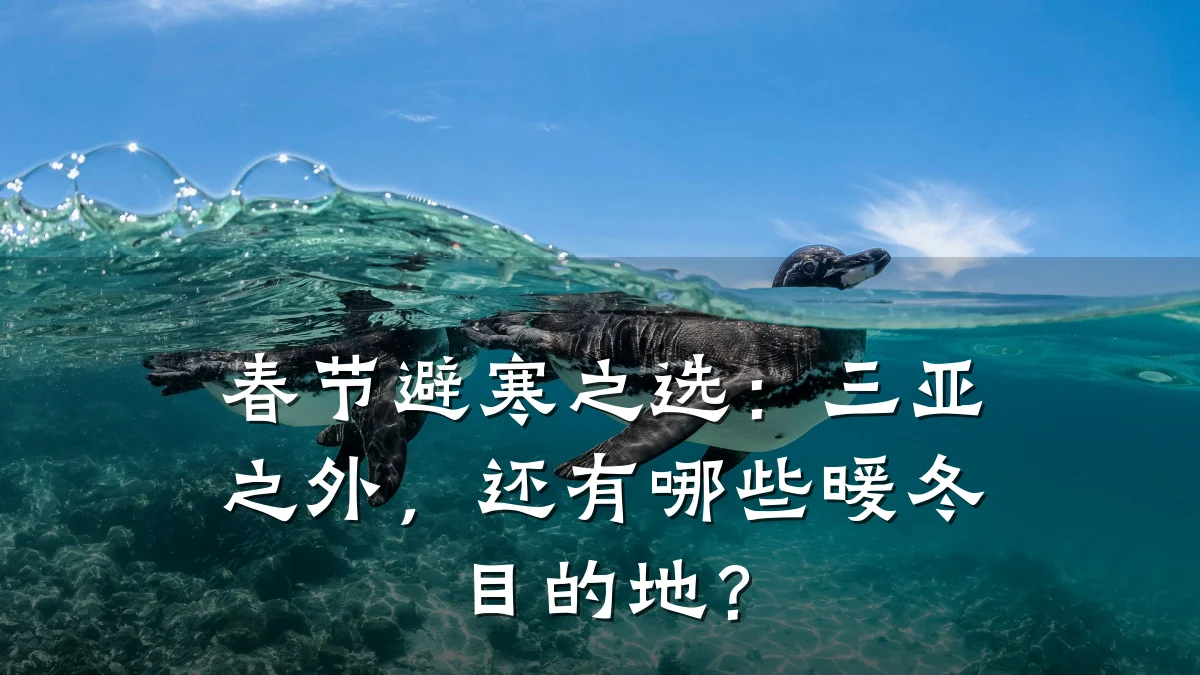 春节避寒之选:三亚之外,还有哪些暖冬目的地?