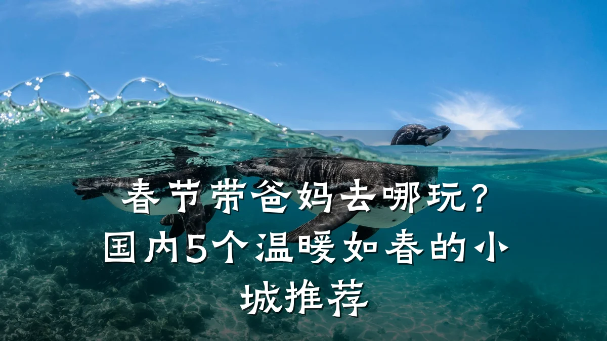 春节带爸妈去哪玩?国内5个温暖如春的小城推荐