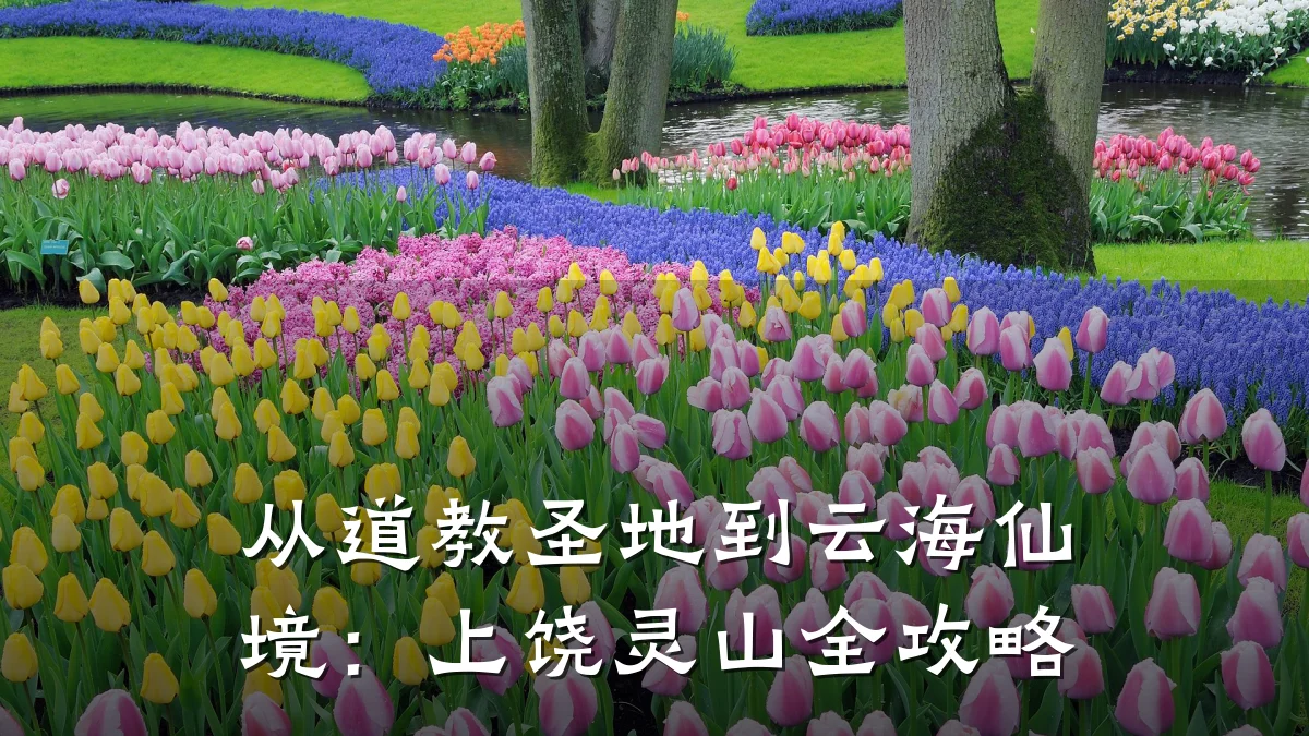 从道教圣地到云海仙境:上饶灵山全攻略