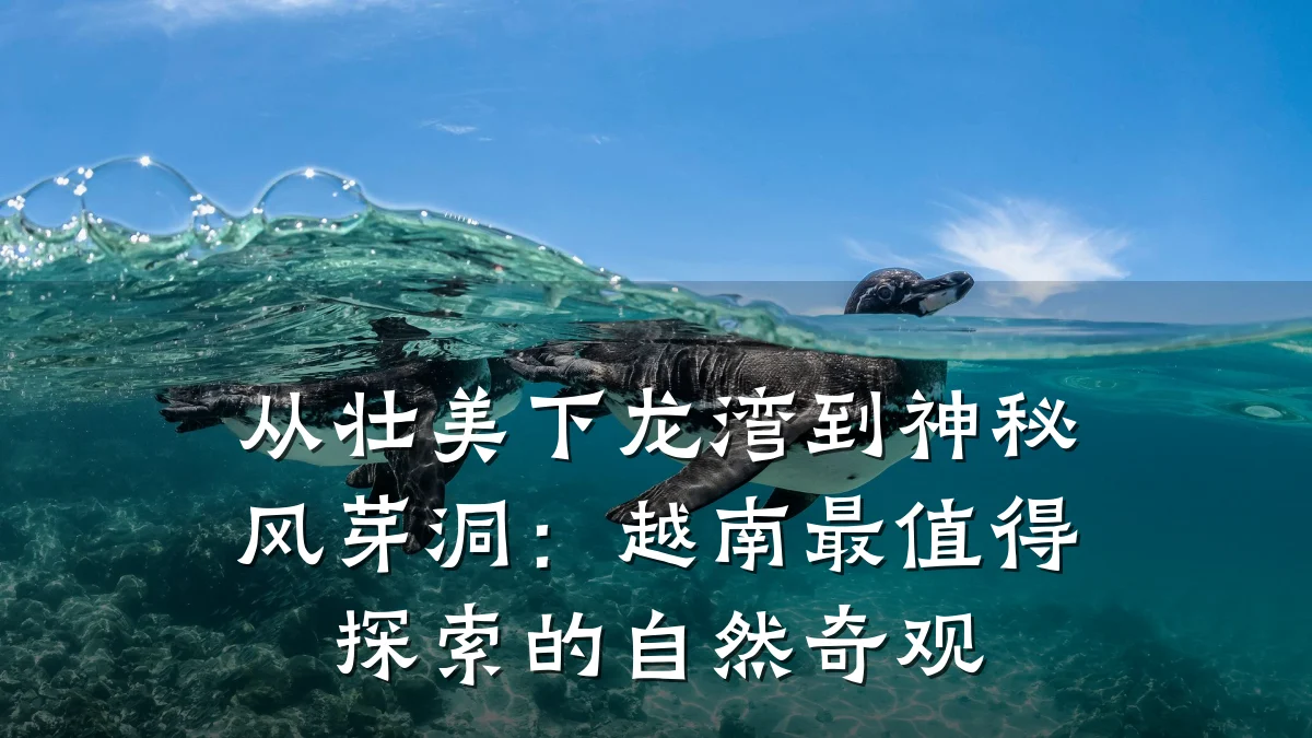 从壮美下龙湾到神秘风芽洞:越南最值得探索的自然奇观