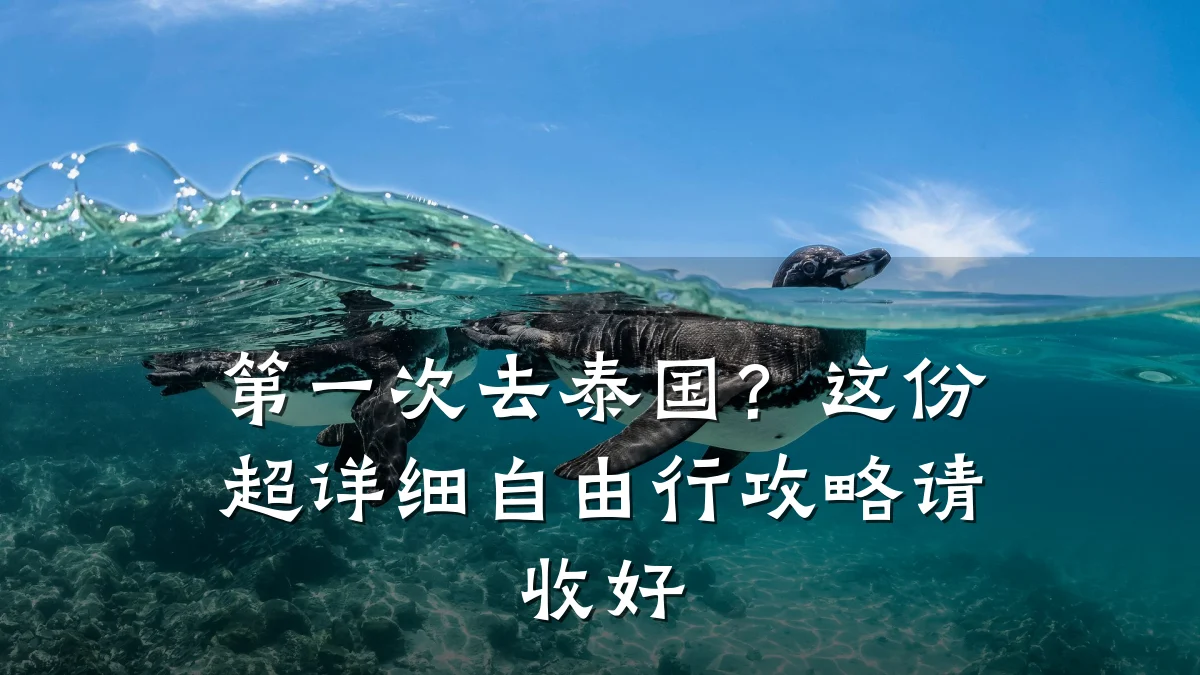 第一次去泰国？这份超详细自由行攻略请收好