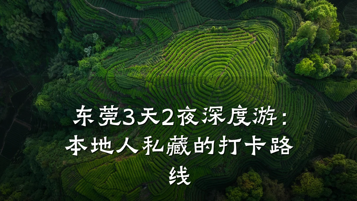 东莞3天2夜深度游:本地人私藏的打卡路线