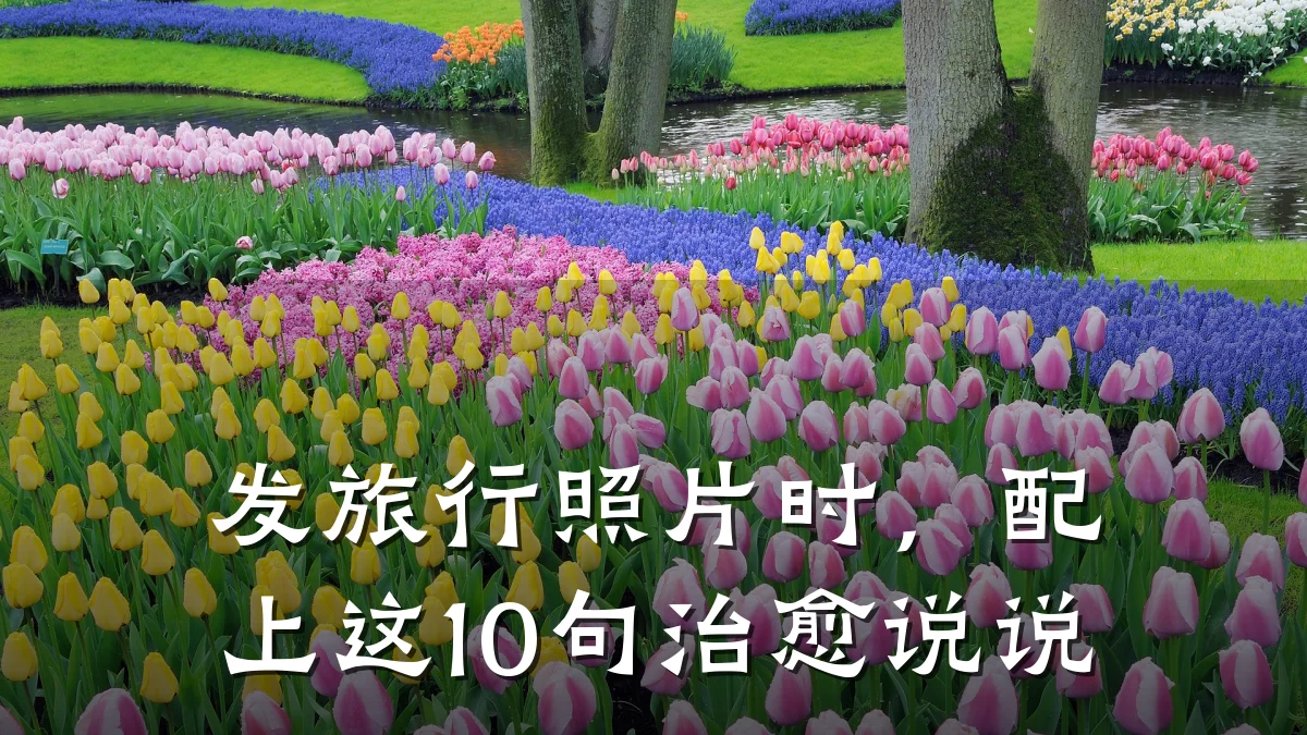 发旅行照片时,配上这10句治愈说说