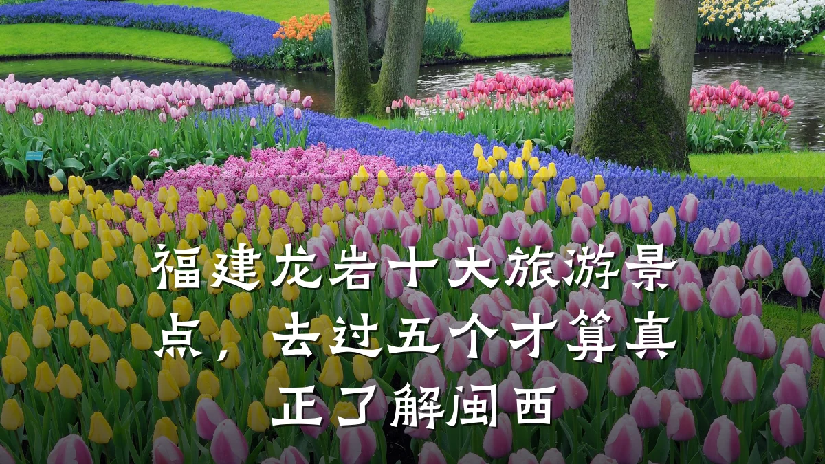 福建龙岩十大旅游景点,去过五个才算真正了解闽西