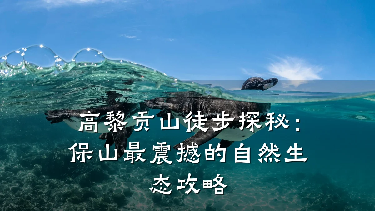 高黎贡山徒步探秘:保山最震撼的自然生态攻略
