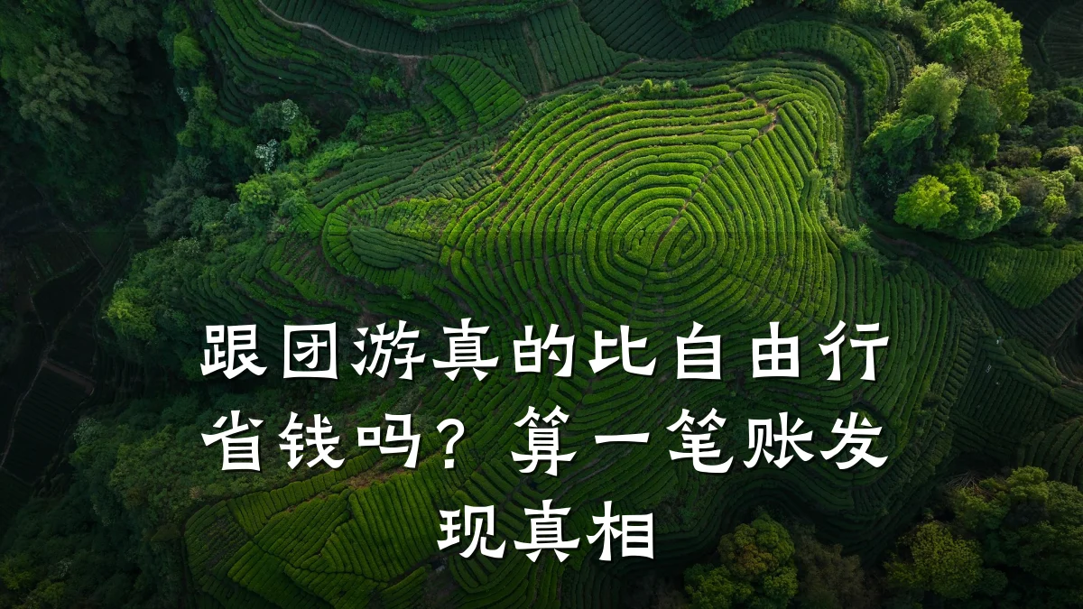 跟团游真的比自由行省钱吗?算一笔账发现真相