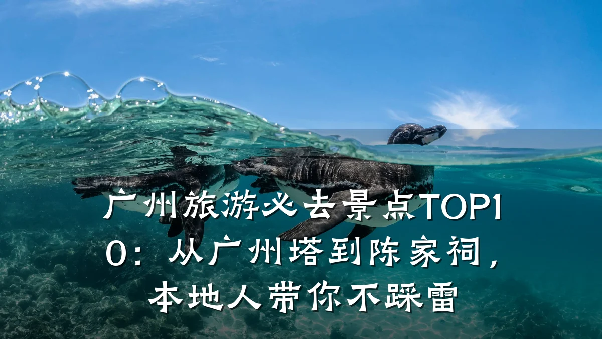 广州旅游必去景点TOP10：从广州塔到陈家祠，本地人带你不踩雷