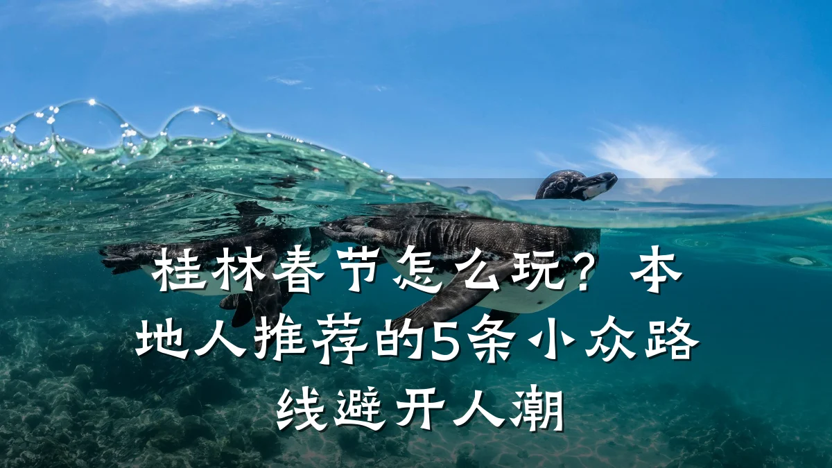 桂林春节怎么玩?本地人推荐的5条小众路线避开人潮