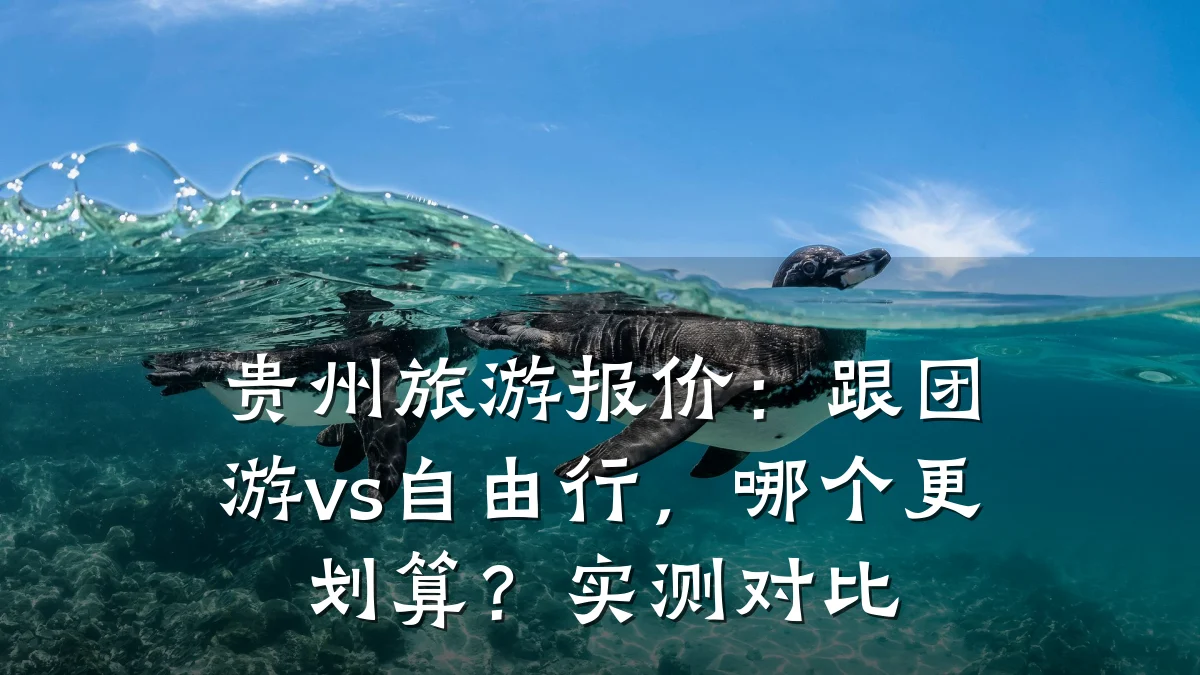贵州旅游报价:跟团游vs自由行,哪个更划算?实测对比