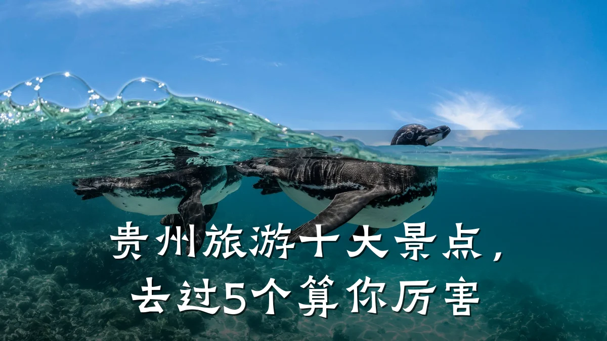 贵州旅游十大景点,去过5个算你厉害