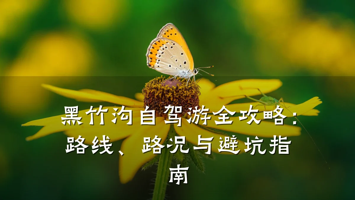黑竹沟自驾游全攻略:路线、路况与避坑指南