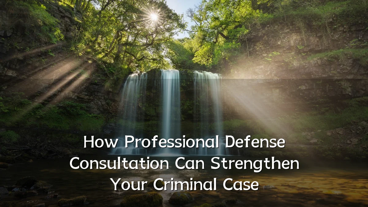 How Professional Defense Consultation Can Strengthen Your Criminal Case