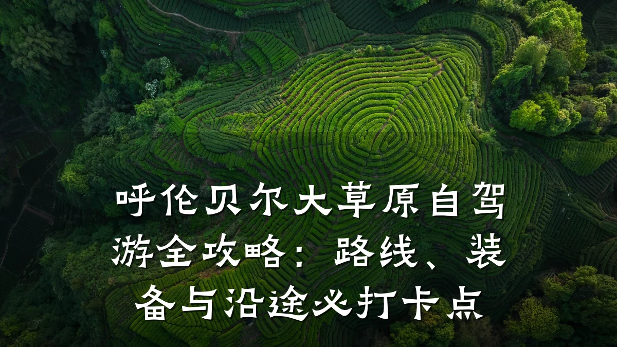 呼伦贝尔大草原自驾游全攻略:路线、装备与沿途必打卡点