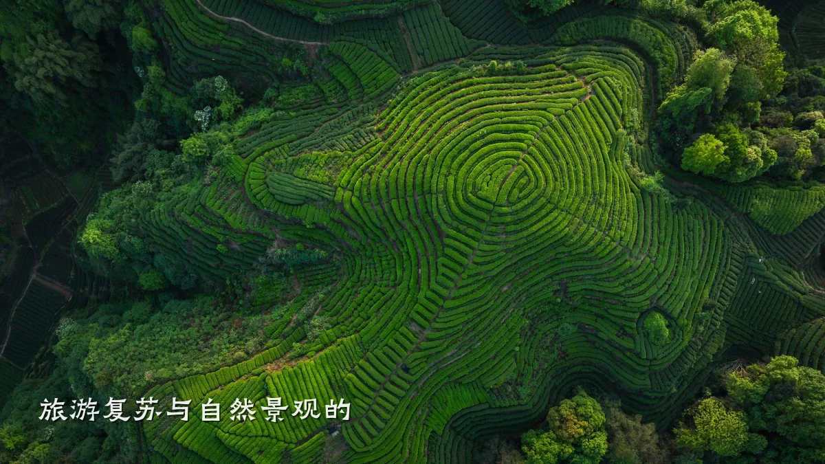 旅游复苏与自然景观的