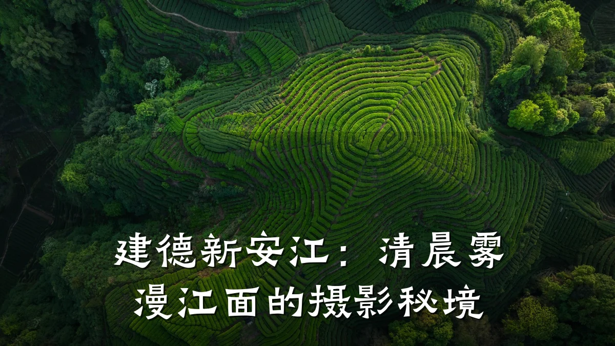 建德新安江:清晨雾漫江面的摄影秘境