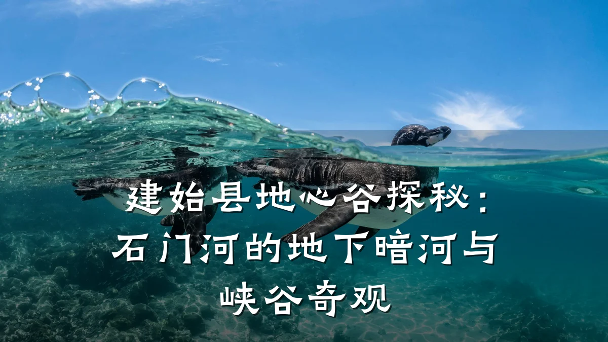 建始县地心谷探秘:石门河的地下暗河与峡谷奇观