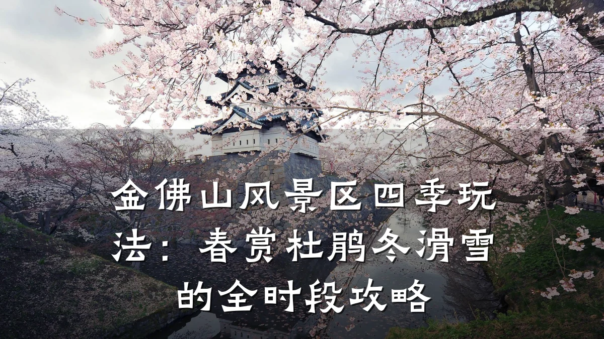 金佛山风景区四季玩法:春赏杜鹃冬滑雪的全时段攻略