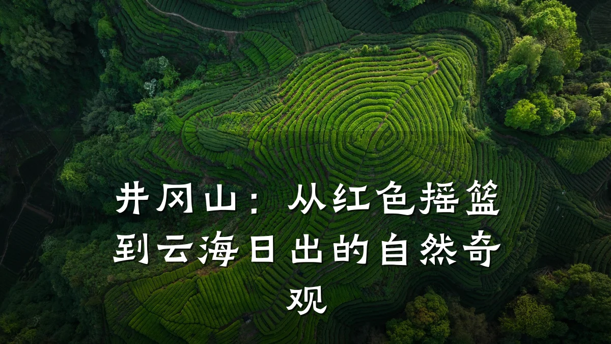 井冈山：从红色摇篮到云海日出的自然奇观
