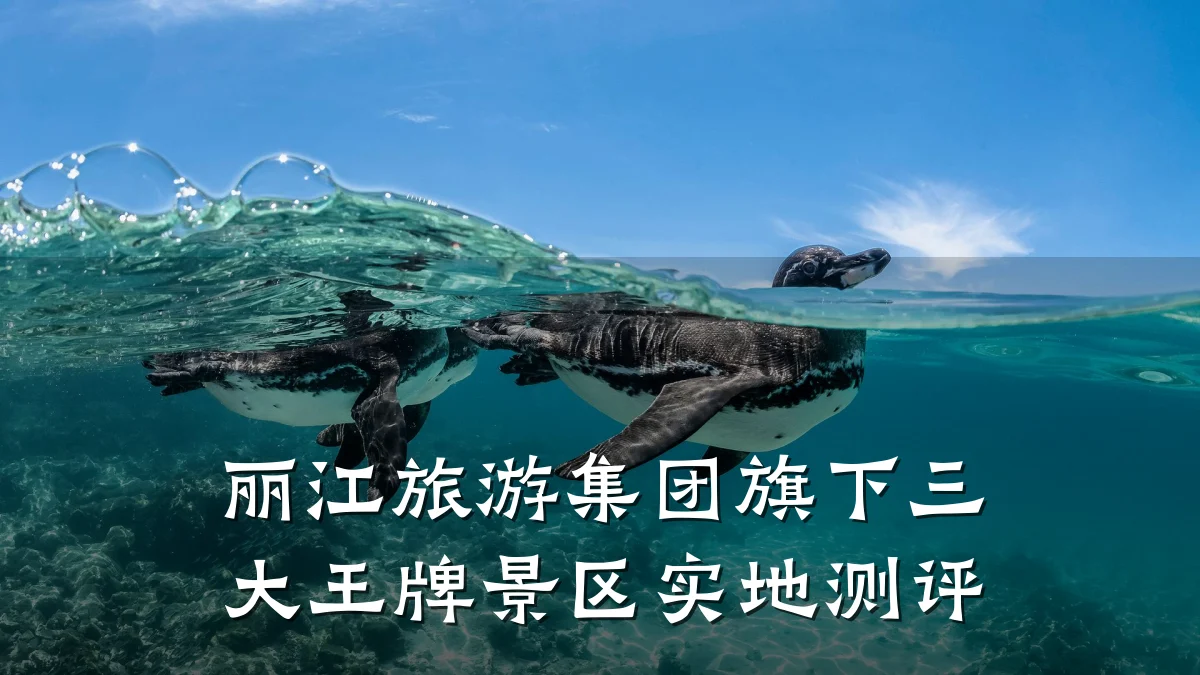 丽江旅游集团旗下三大王牌景区实地测评