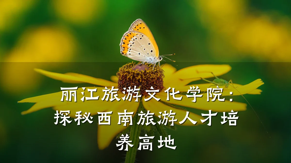 丽江旅游文化学院:探秘西南旅游人才培养高地