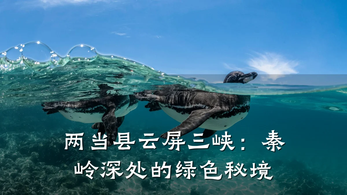 两当县云屏三峡:秦岭深处的绿色秘境
