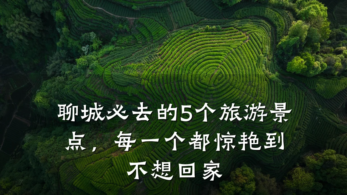 聊城必去的5个旅游景点，每一个都惊艳到不想回家