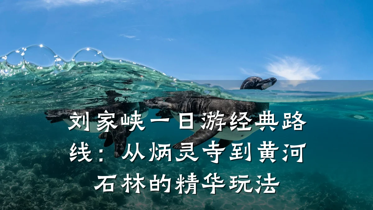 刘家峡一日游经典路线:从炳灵寺到黄河石林的精华玩法