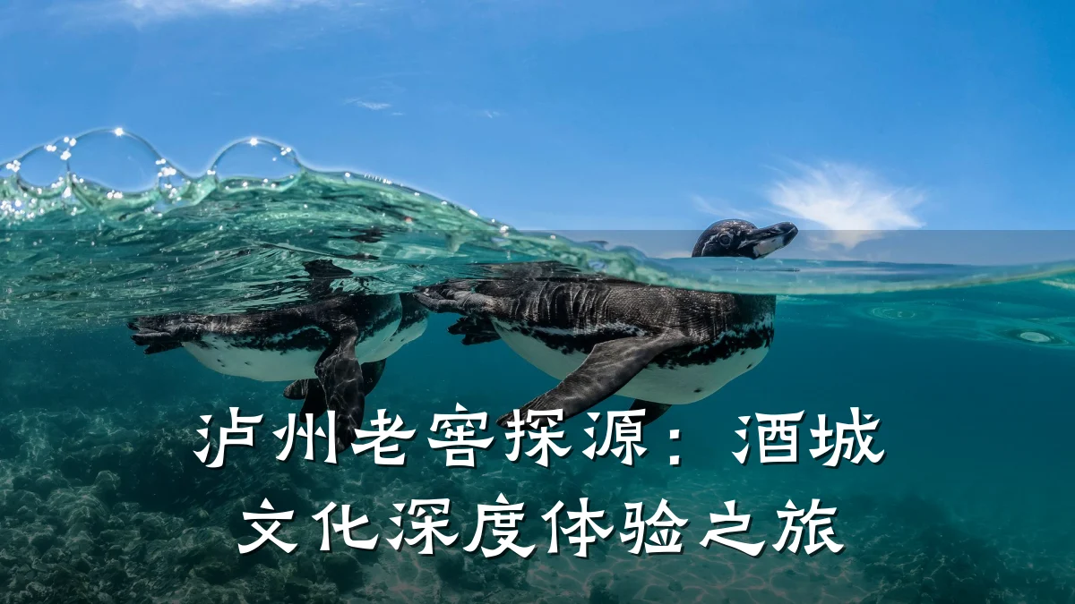 泸州老窖探源:酒城文化深度体验之旅