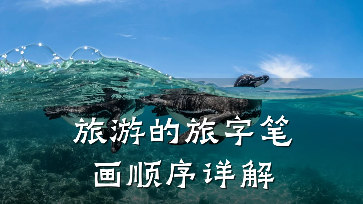 旅游的旅字笔画顺序详解